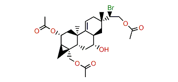 15-Bromo-2,16,19-triacetoxy-7-hydroxy-9(11)-parguerene
